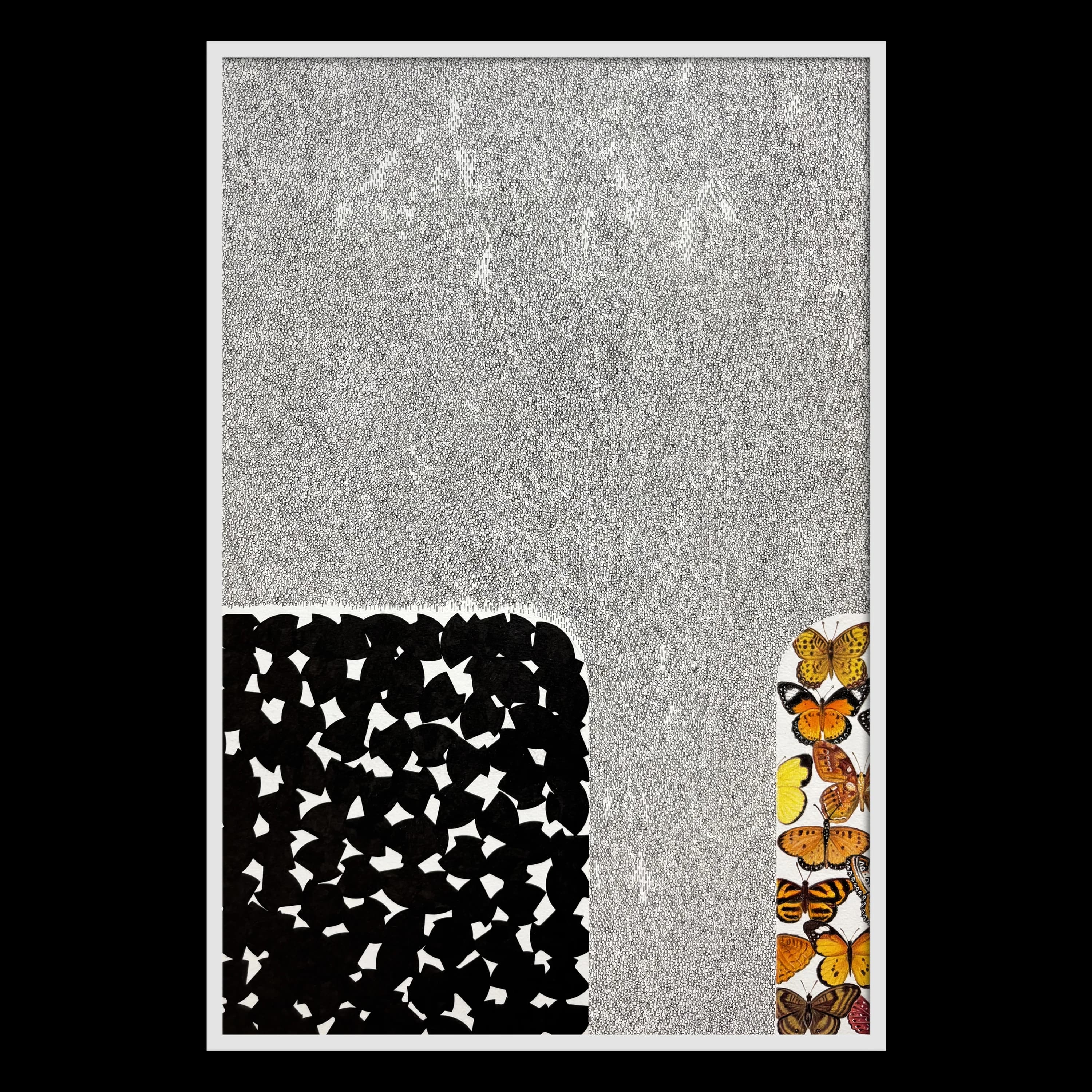 Fragments of Hope I