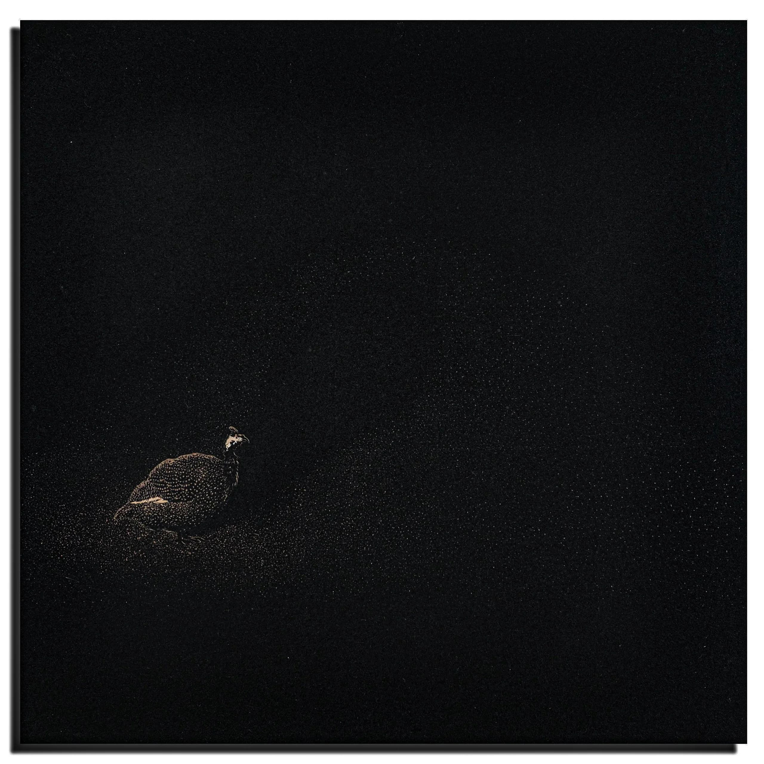 The Shape of Memory