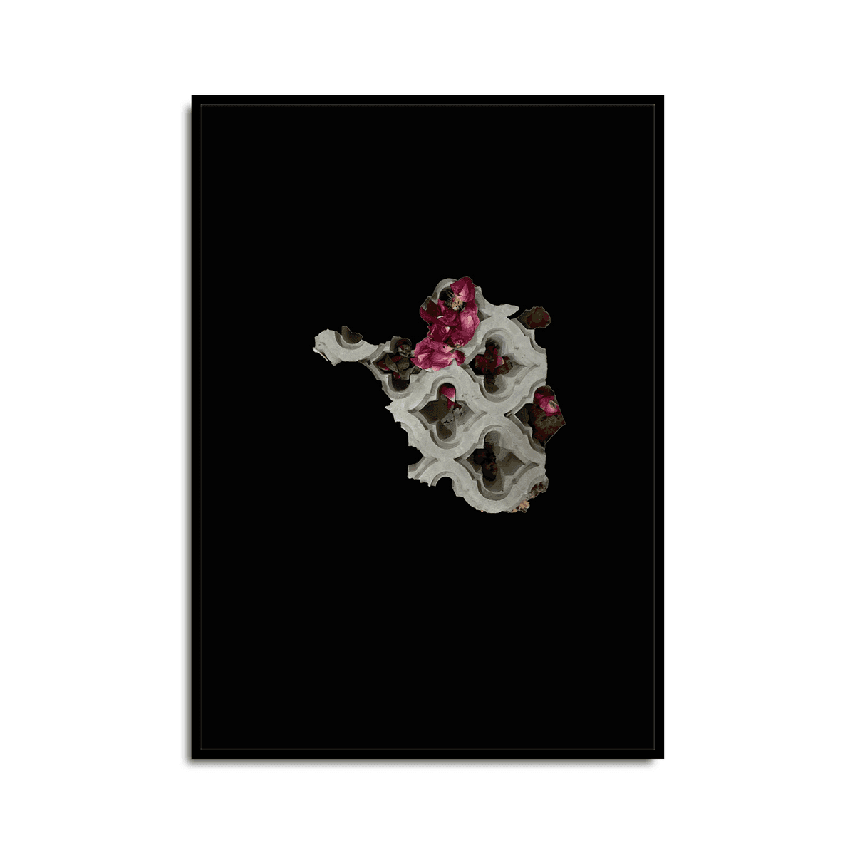 Portfolio Print- Edition of 75