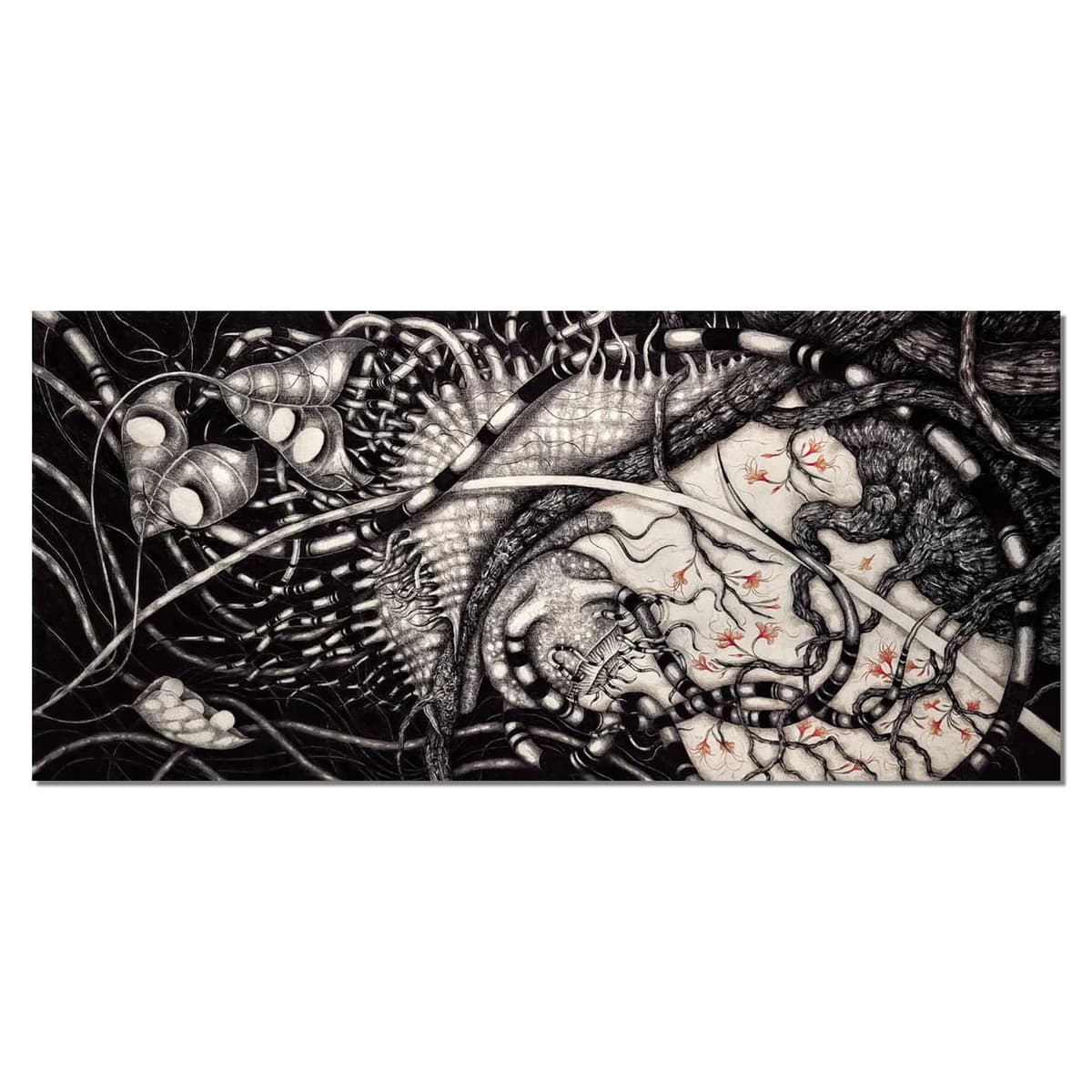 The Snail (Silent Stories Series)