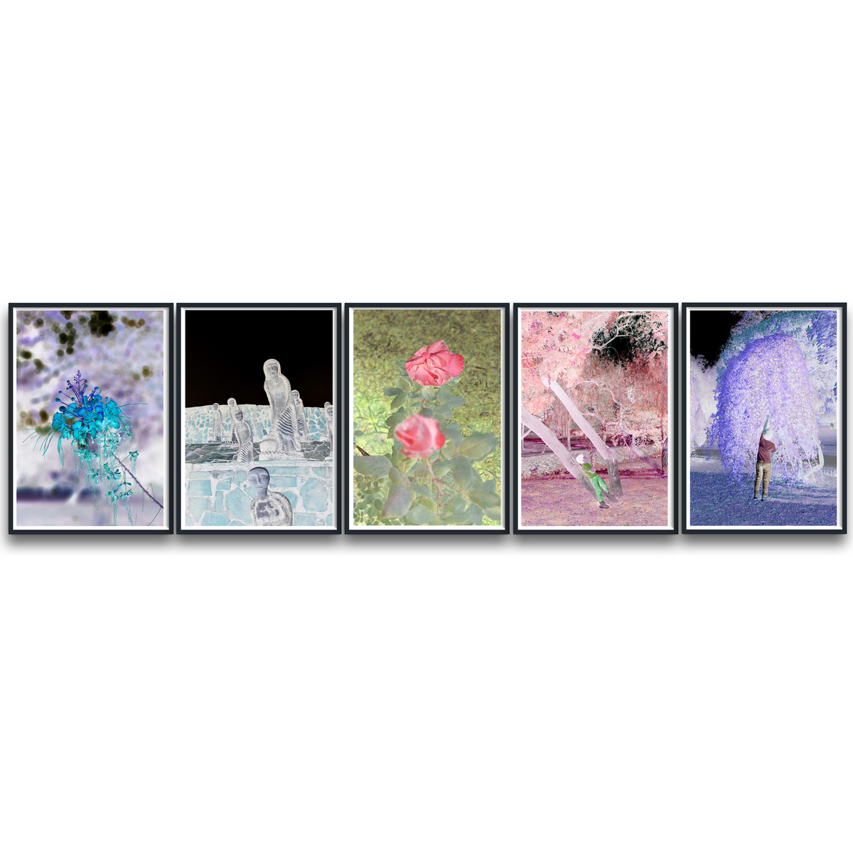 In My Dreams (set of 5) - (Edition 1/5 )