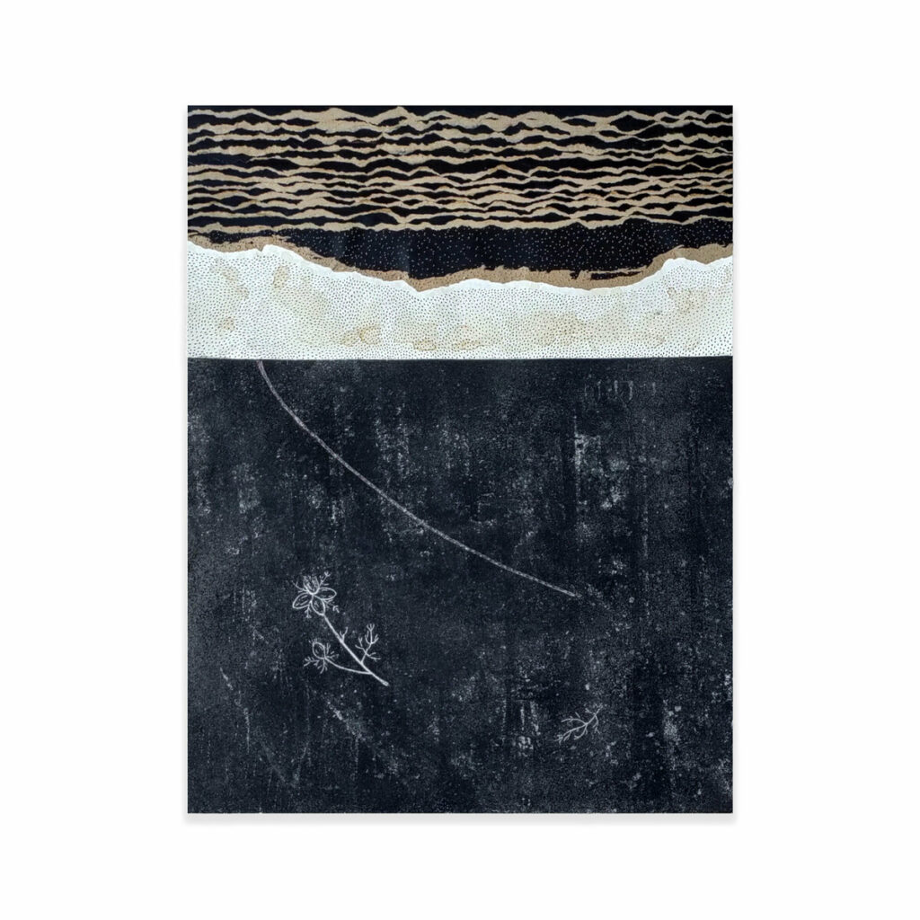 Kalonji