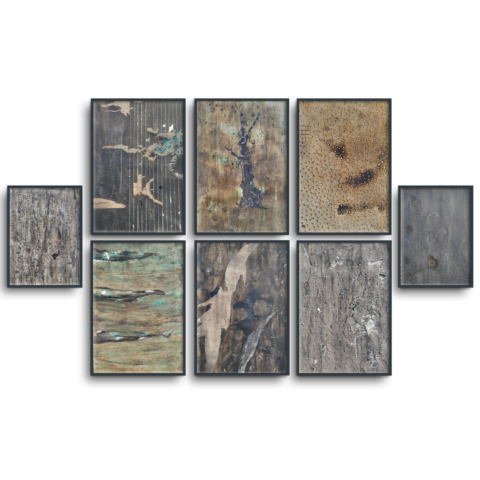 Agliculture Disease - (set of 8)