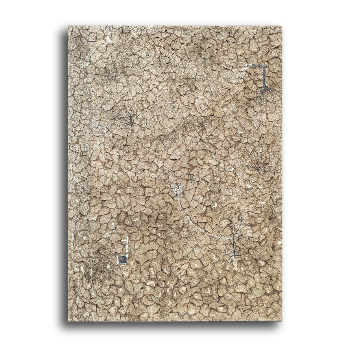 Soil Chips -II