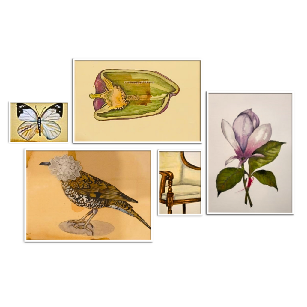 Untitled (set of 5)