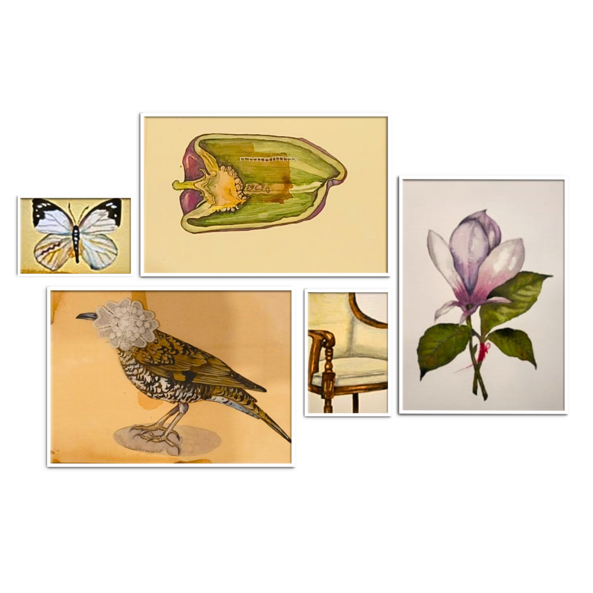 Untitled (set of 5)