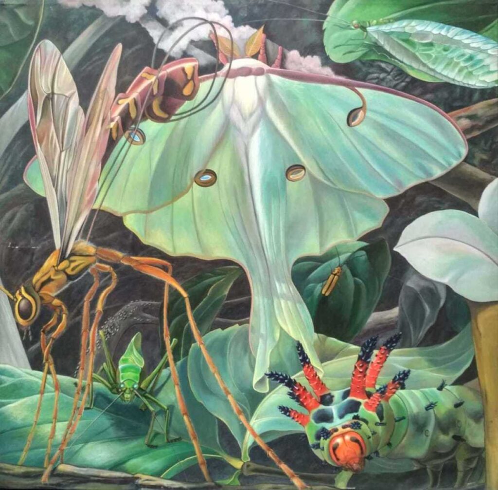 Close look at nature