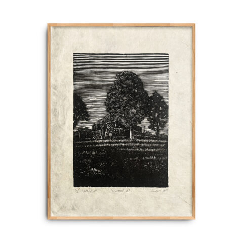 Untitled-8 (edition 4/5)