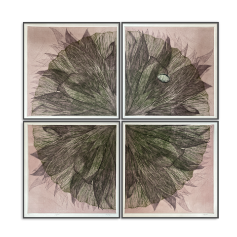 पद्मावयुह - (edition 1/2)