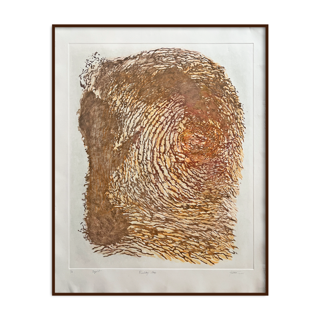 Rewriting Lines - (edition 1/3)