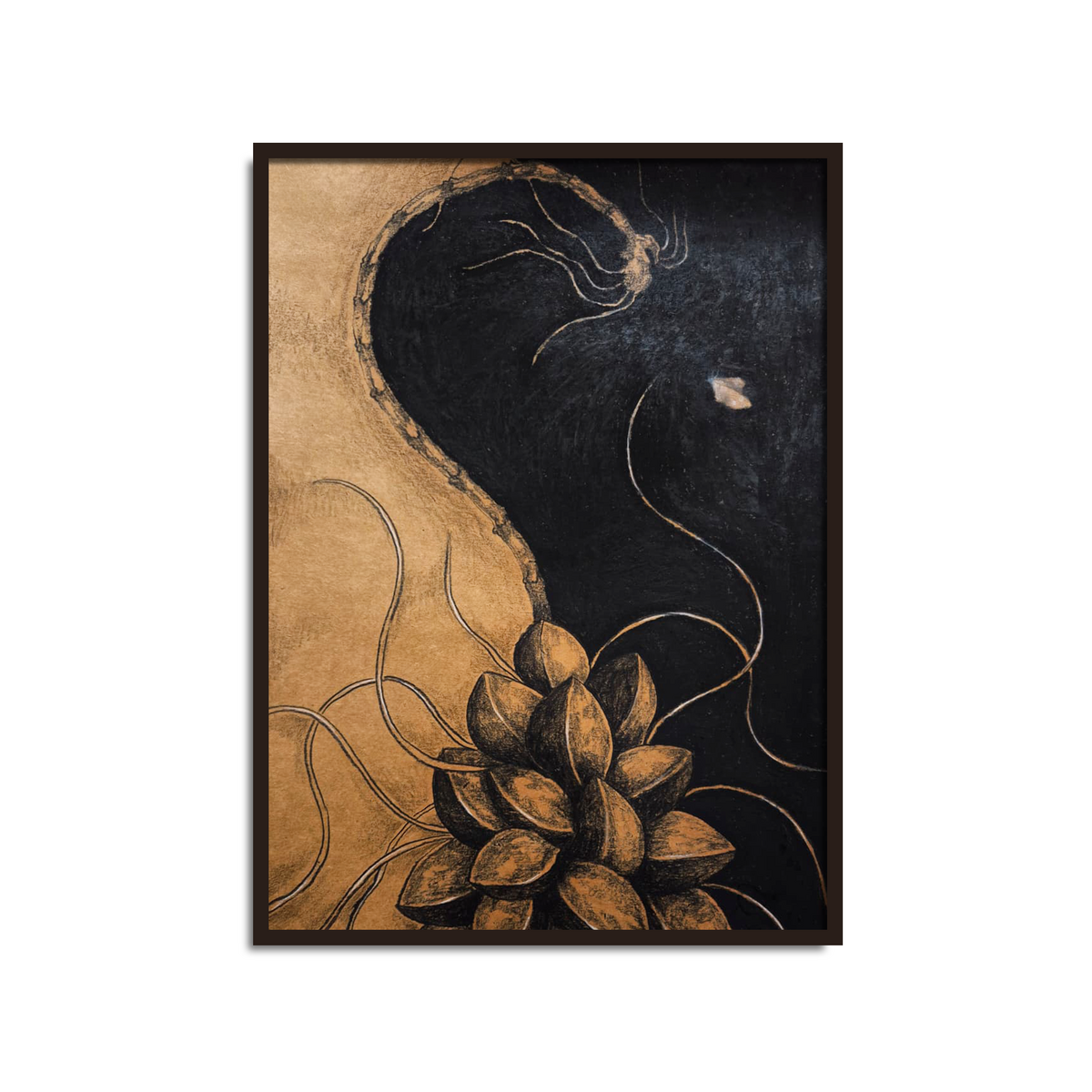 Silent Stories Series