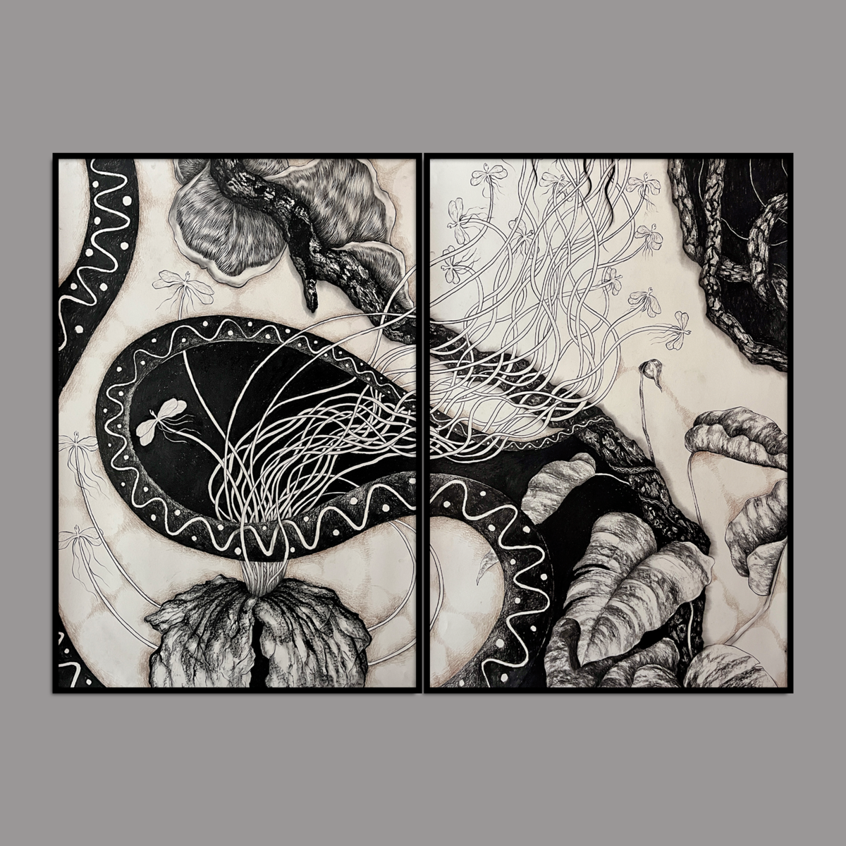 Silent Stories Series (set of 2)