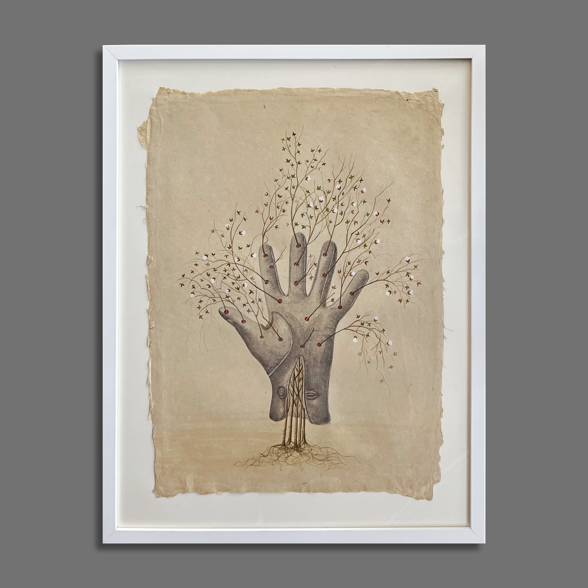 What the plant become