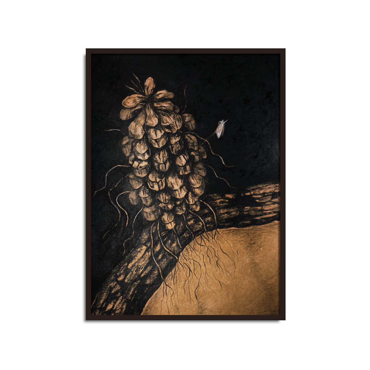 Silent Stories Series