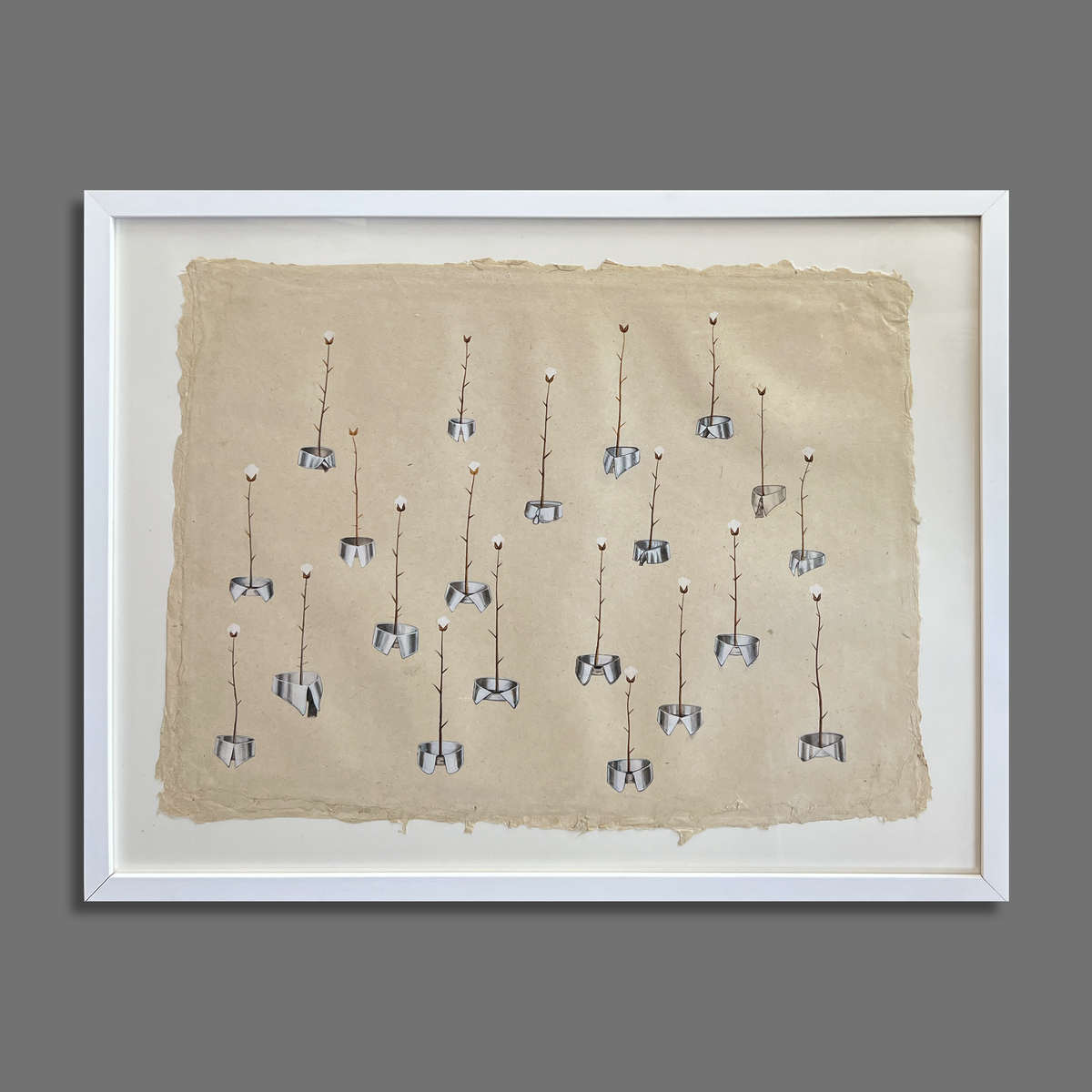 Cotton garden, corporate form