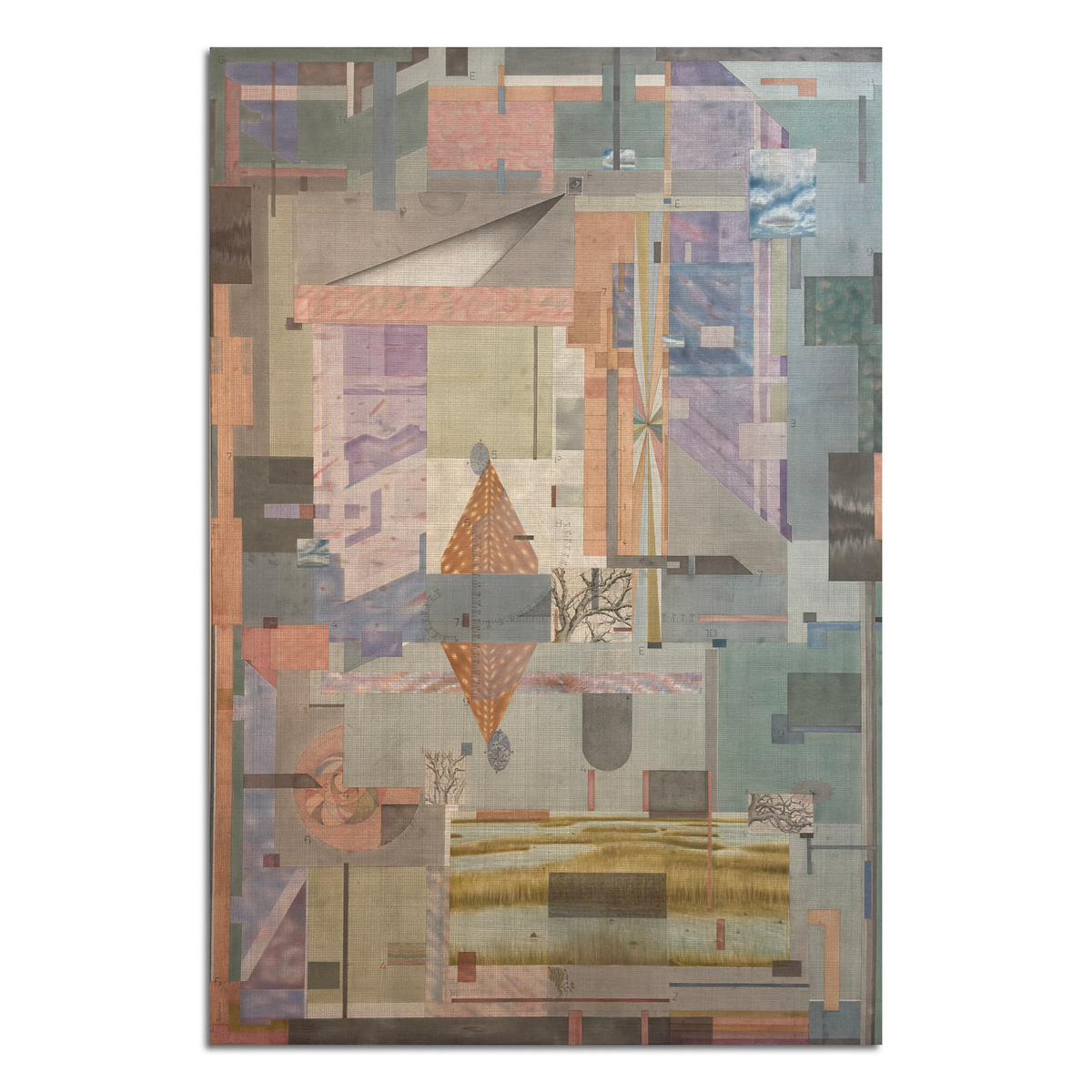 Echoes of The Canopy