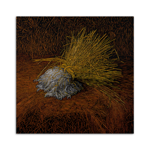 Where does it belongs to?