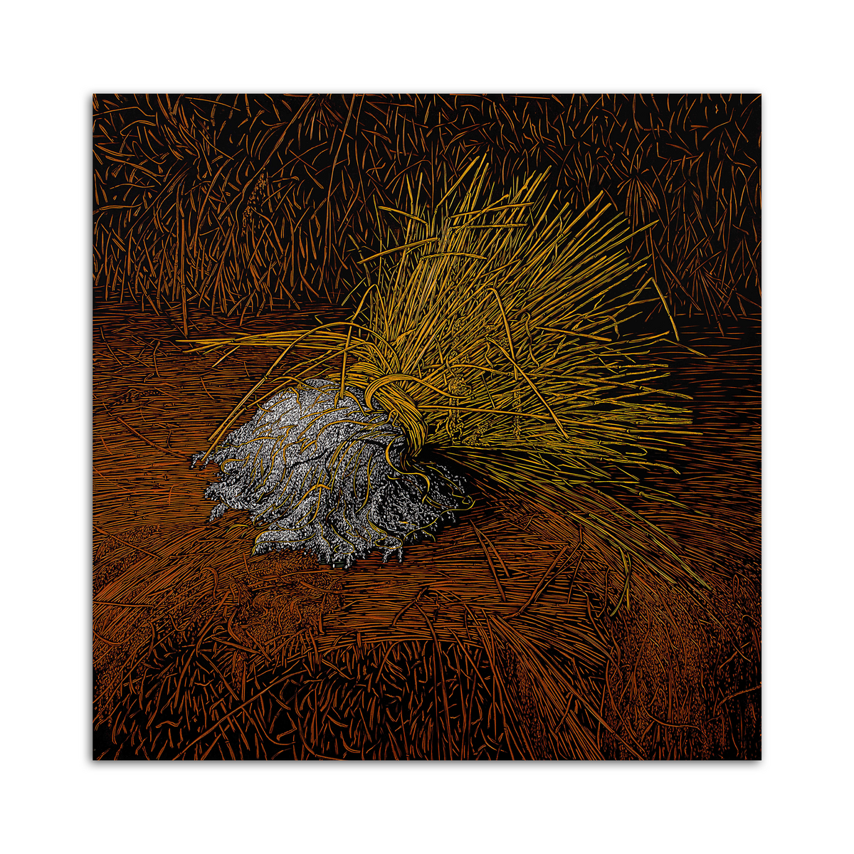 Where does it belongs to?