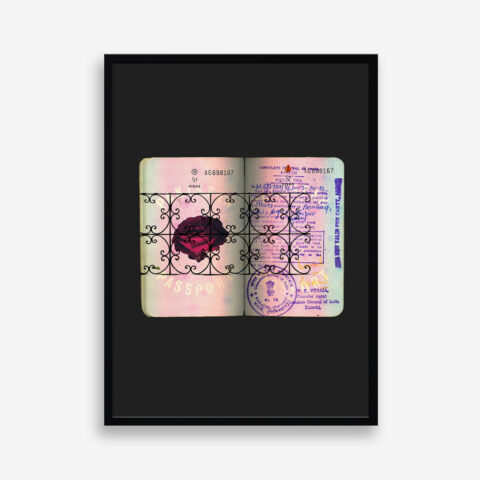 Bombay Visits, Edition 6 of 7