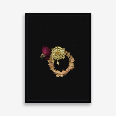 Motia (edition 3 of 7)