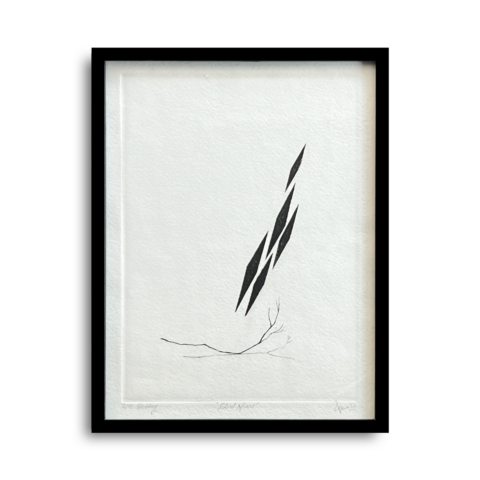 Limited Edition Collection - Edition of 75