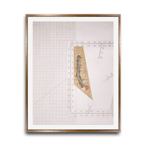 Geometry of golden subjects- 1