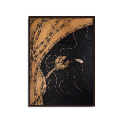 Silent Stories Series