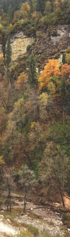 Wallpaper- GHNP- Edition 1 of 3