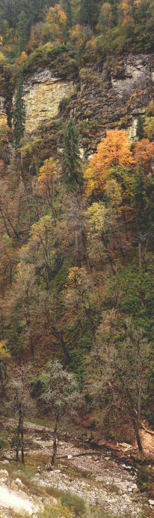 Wallpaper- GHNP- Edition 1 of 3