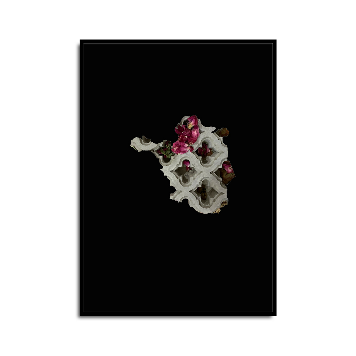 Portfolio Print- Edition of 75