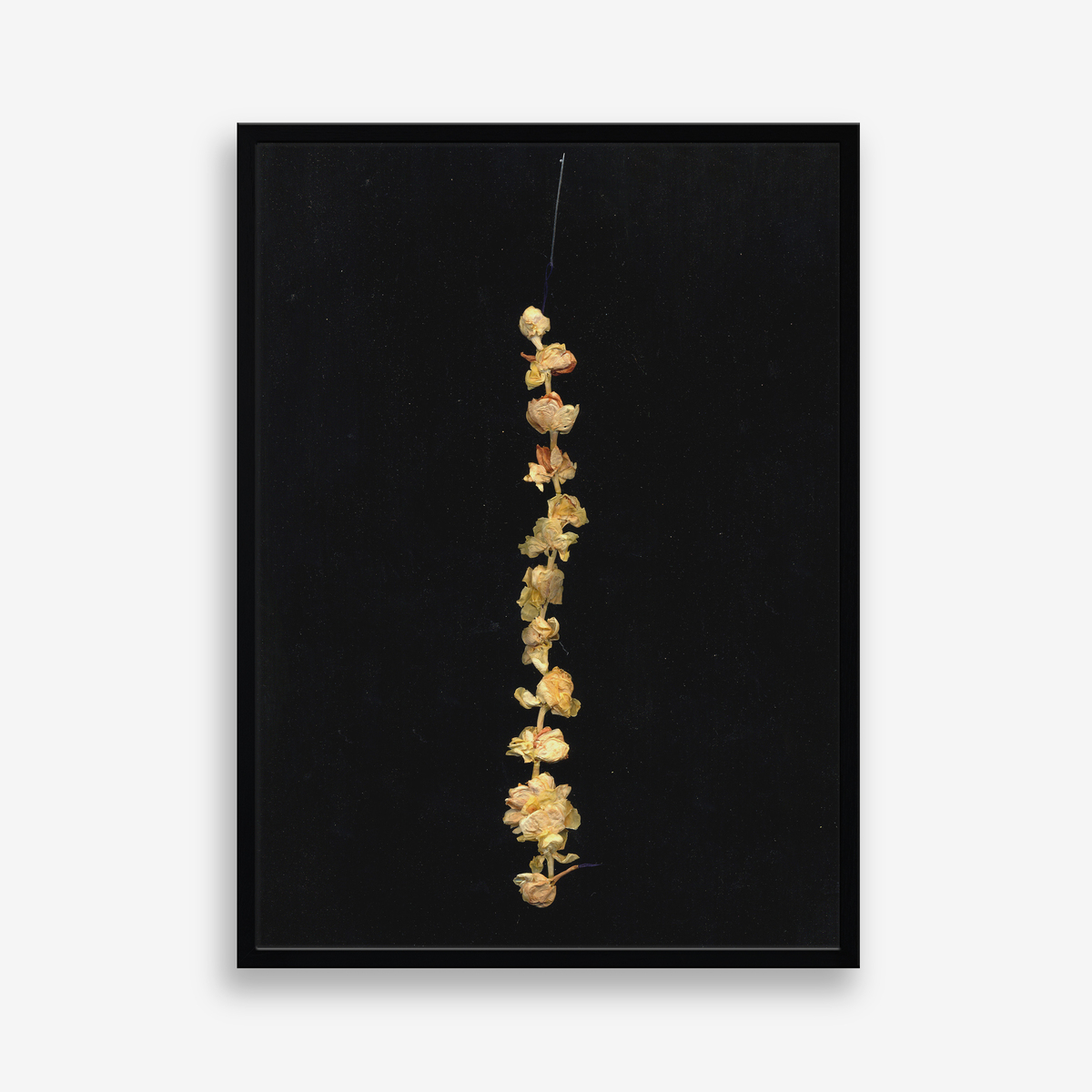 Motia II (edition 1 of 7)