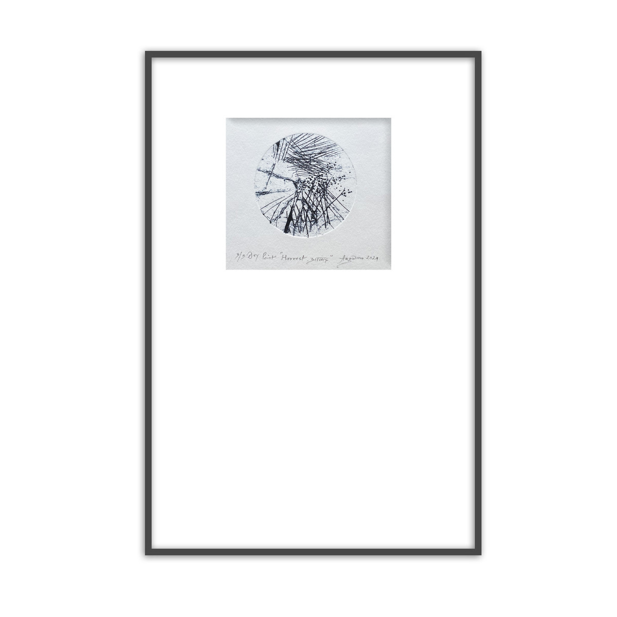 Harvest Abaad - (edition 3/3)