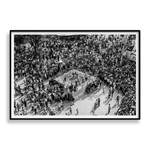 We Live to Fight 02 -  Edition of 10