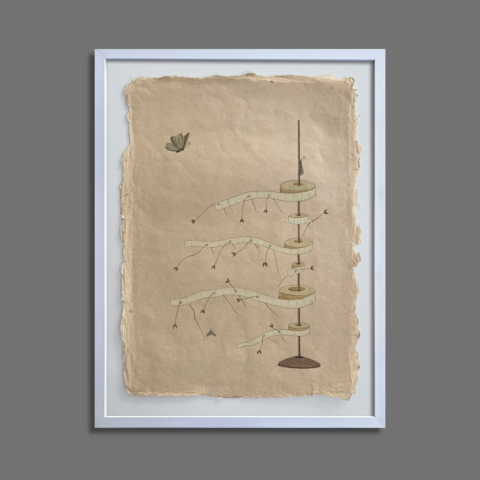 Measuring tape and butterfly