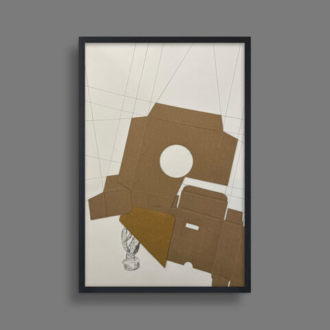 Leaves are not always green