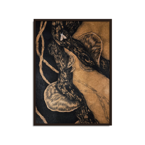 Silent Stories Series