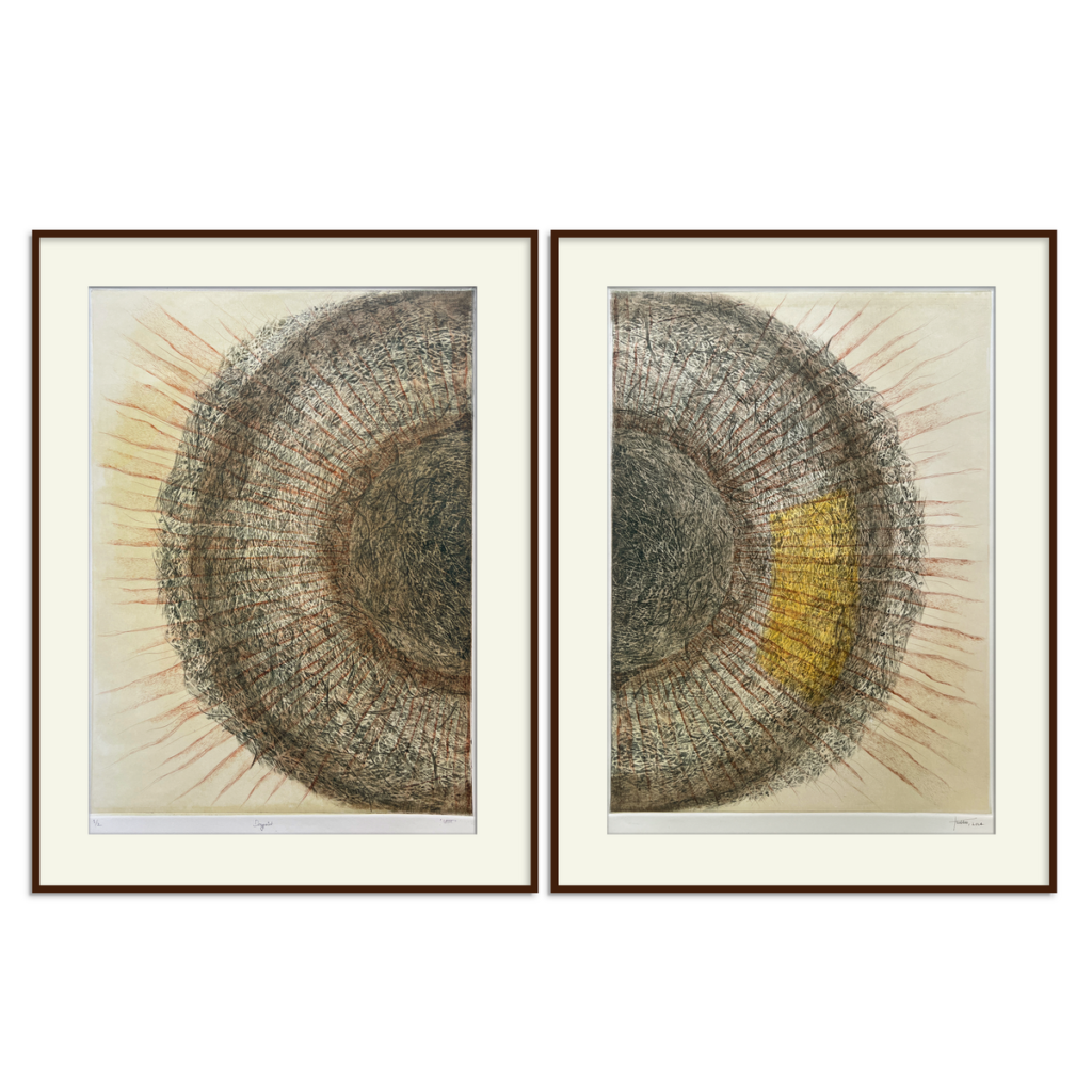 जाग - (edition 2/2)