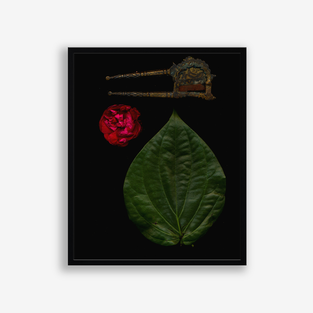 Gulaab, Edition 3 of 7