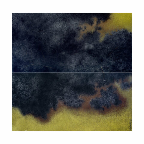 An Endangered Reminants