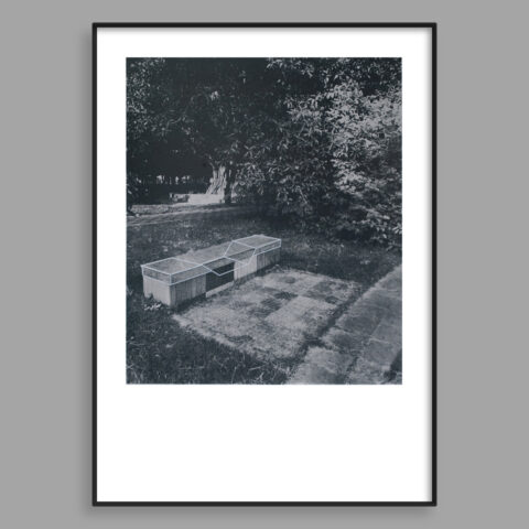 In Search for a Comfort Zone- Edition 2 of 3