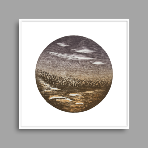 Fragments of Peregrination 8 - (edition 1/4)