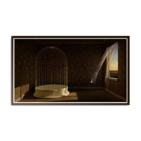 Untitled (edition 1/3)