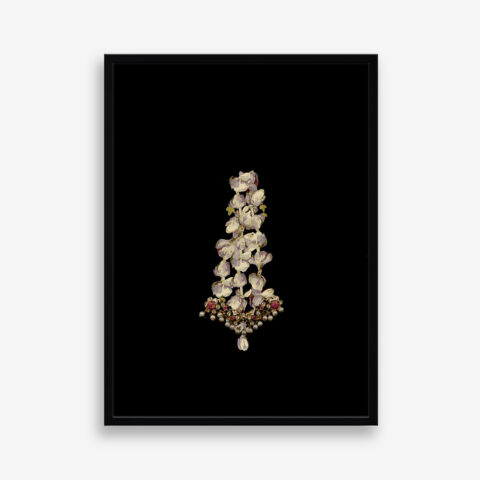 Jhuumar, Edition 2 of 7