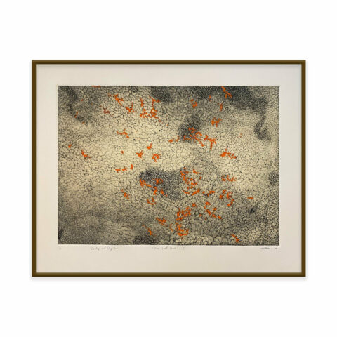 One last shot I (edition 2/3)