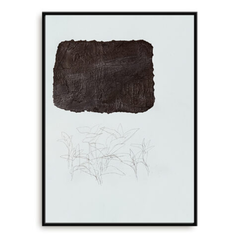 Leaves are not always green