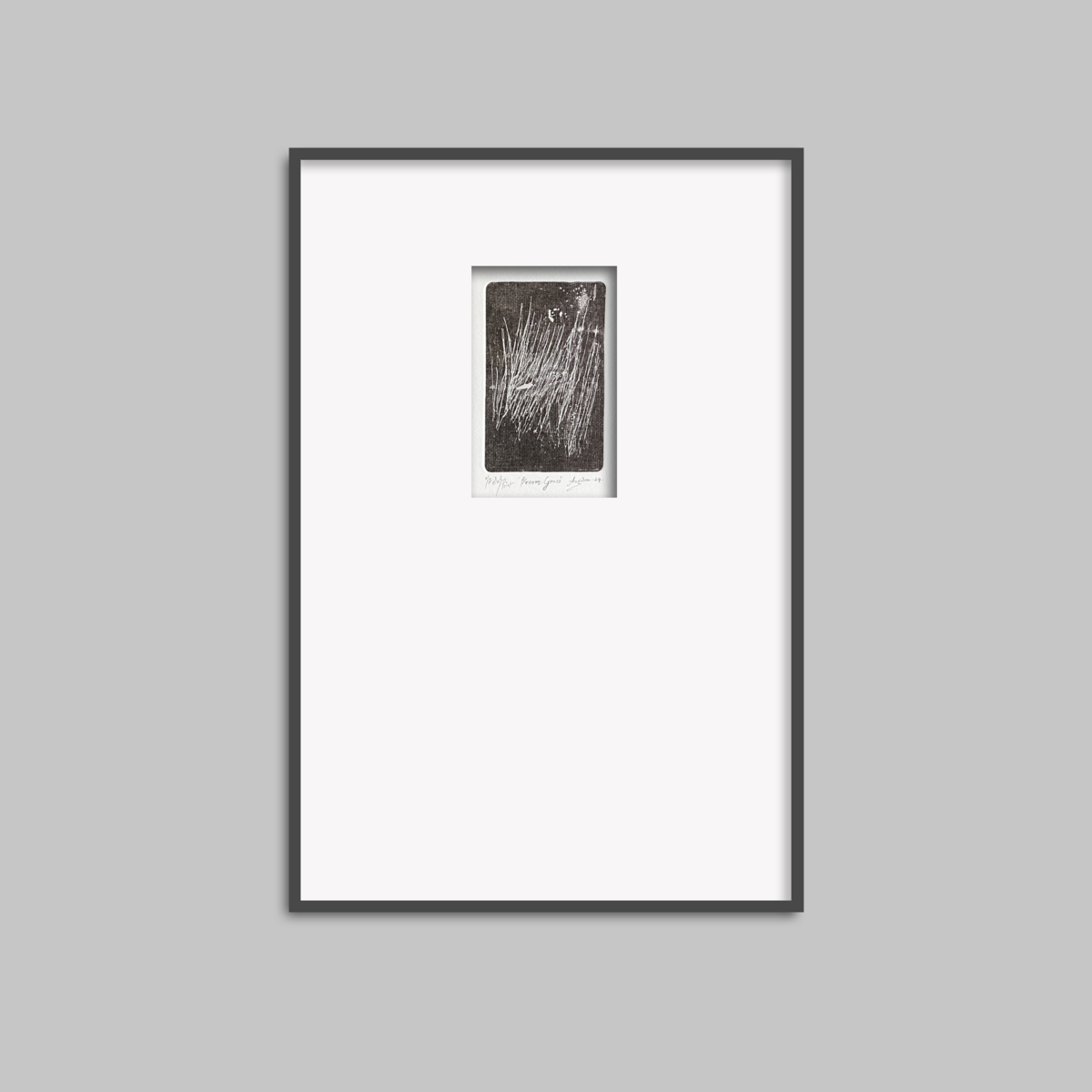 Broom Grass - (Edition 1/2)