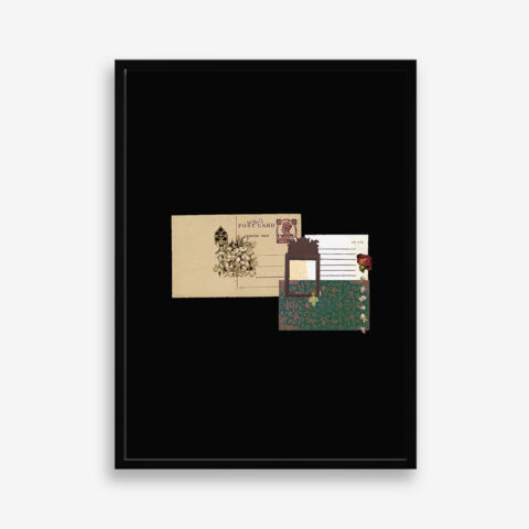 Pyaaray Abbu, Edition 3 of 7