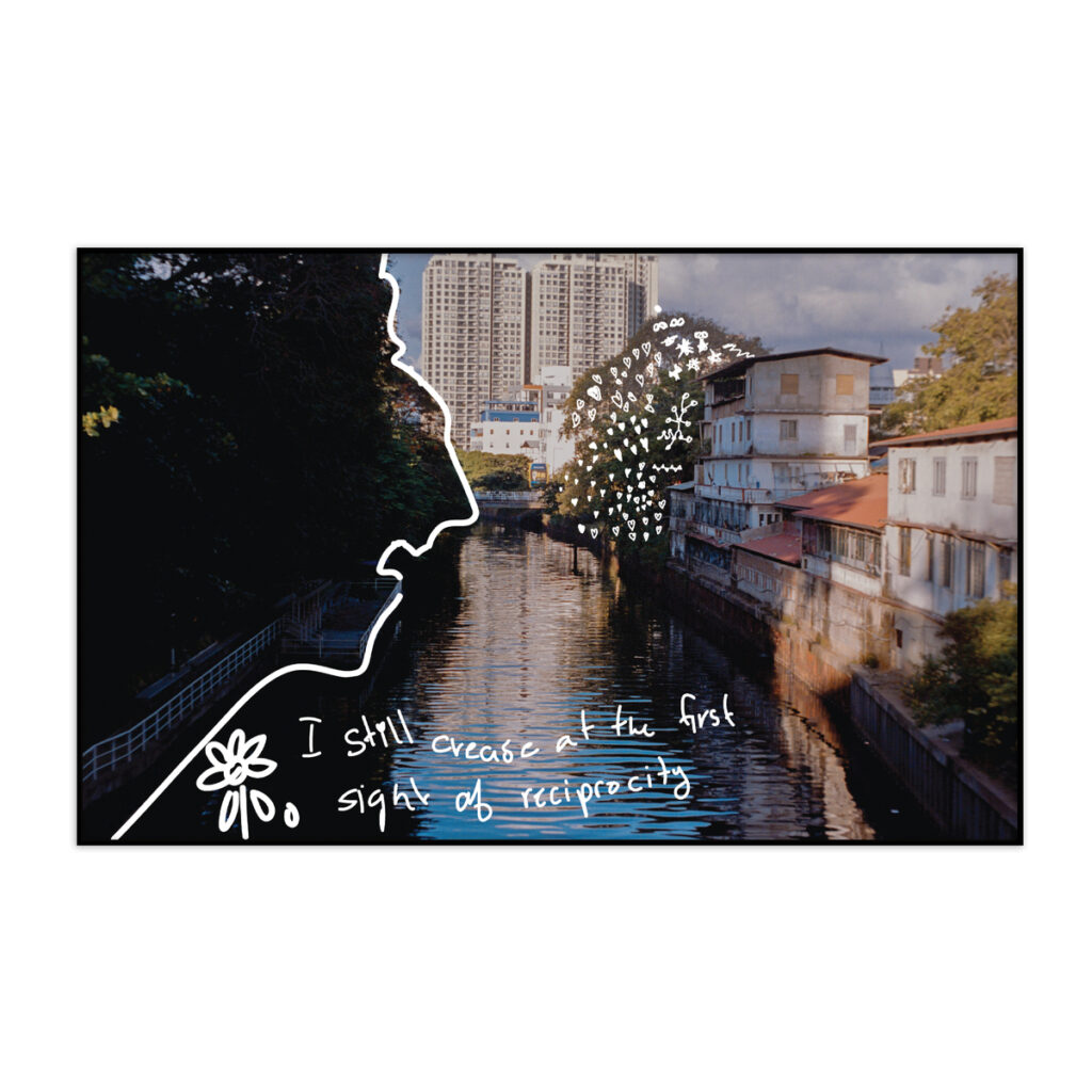 Sharik - (Edition 1/4)