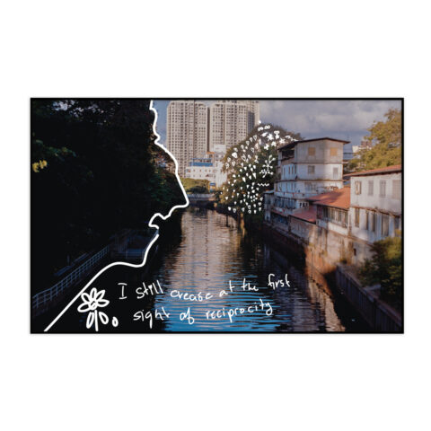 Sharik - (Edition 1/4)