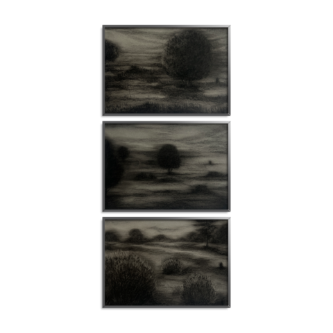 Mindscape 35,36,37